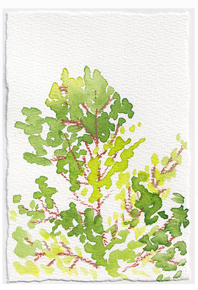 Sedona Watercolor 23