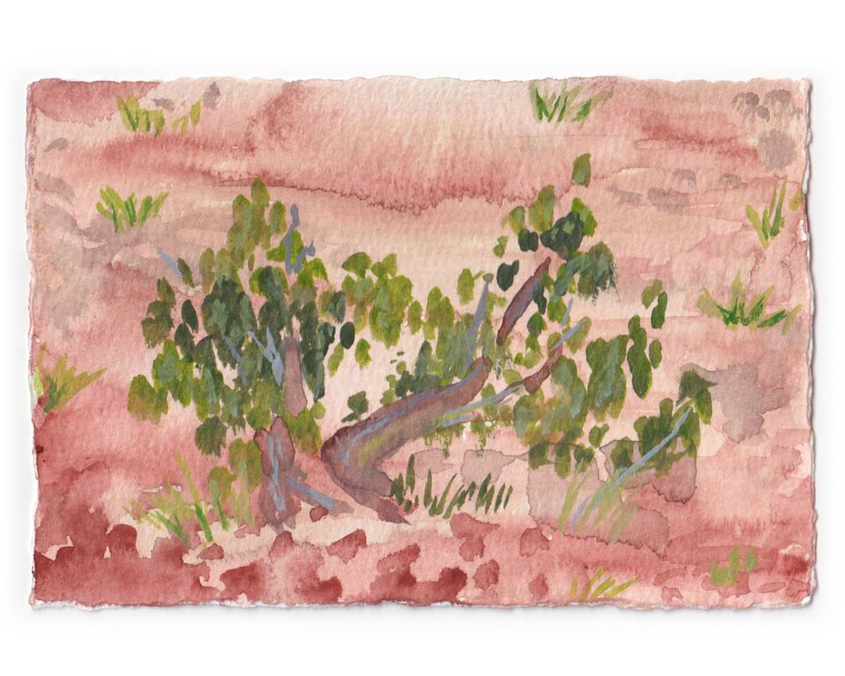 Sedona Watercolor 10